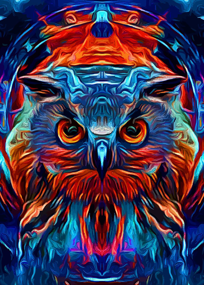 Owl Flaming Space