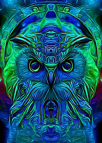 Owl Space Shaman