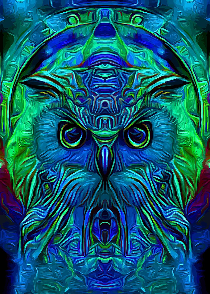 Owl Space Shaman