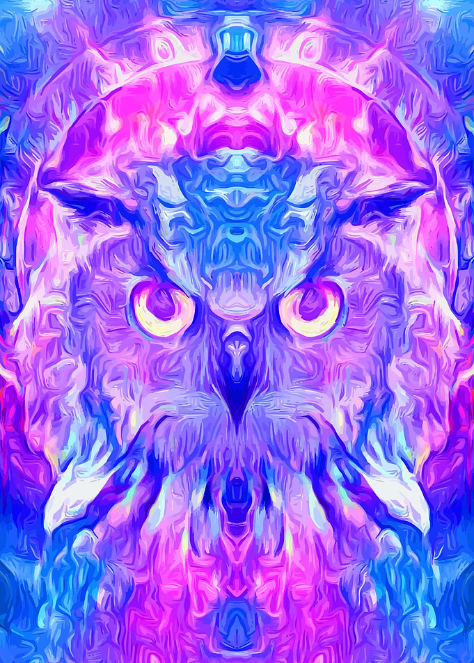Owl Space Fantasy