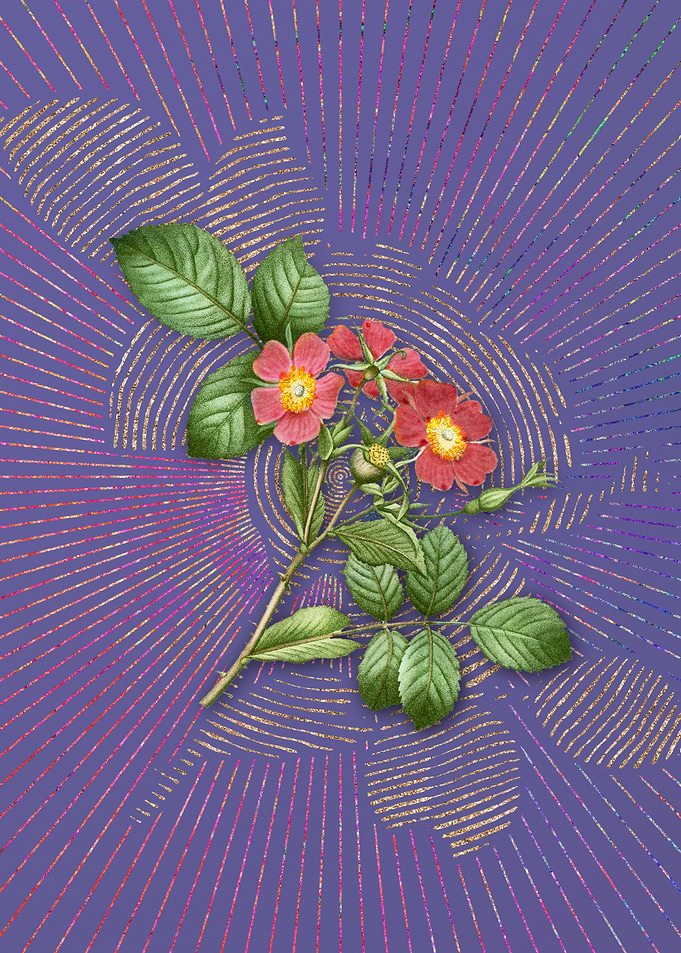 Vintage Redleaf Rose Art