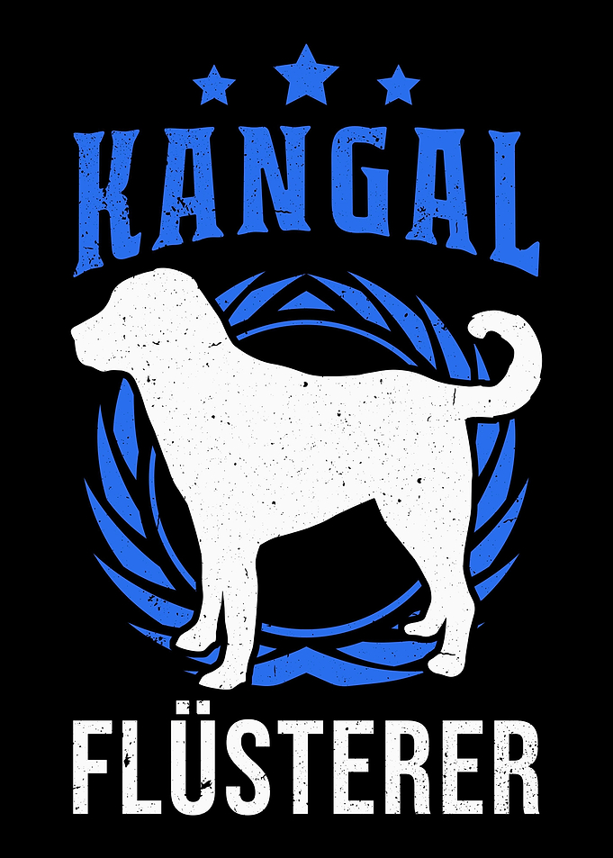 Kangal Flsterer Anatolisc