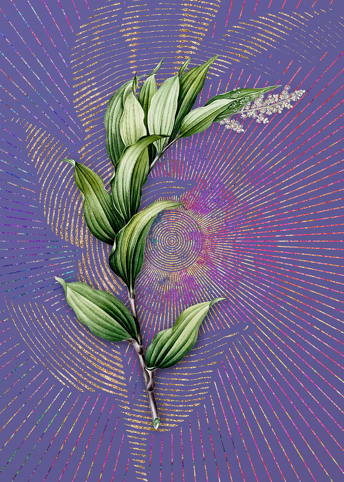 Vintage Treacleberry Art
