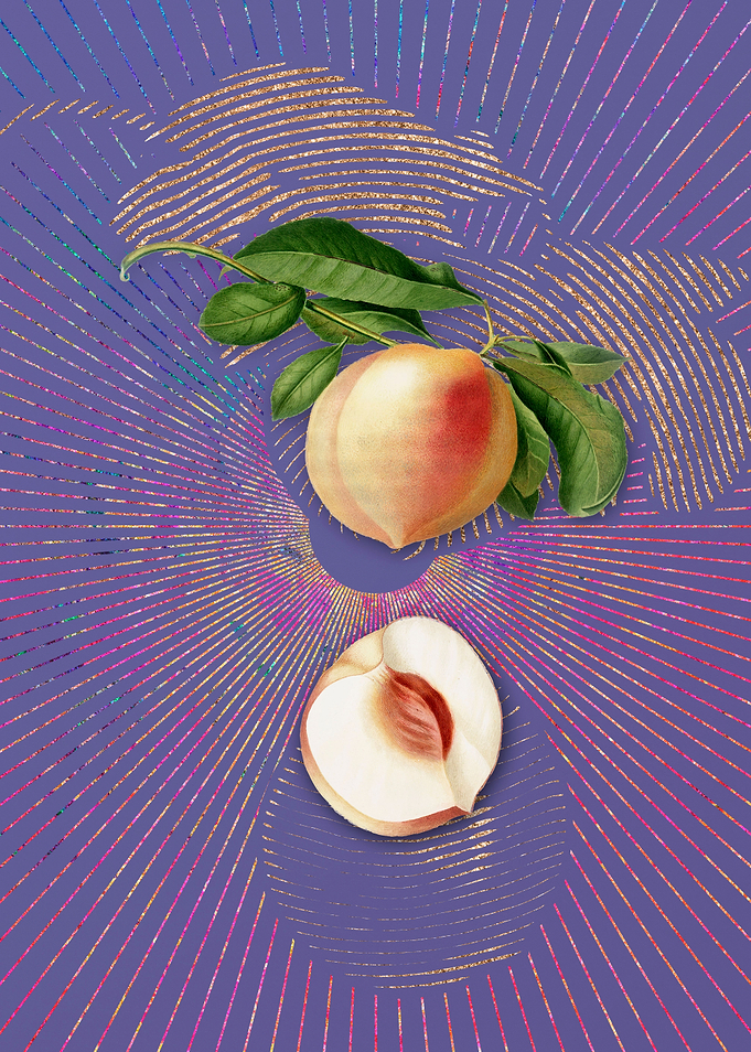 Vintage Peach 6 Violet