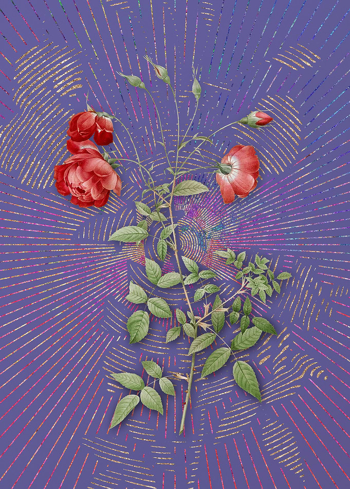 Vintage Red Rose Flora