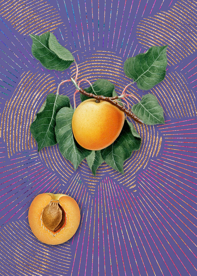Vintage German Apricot