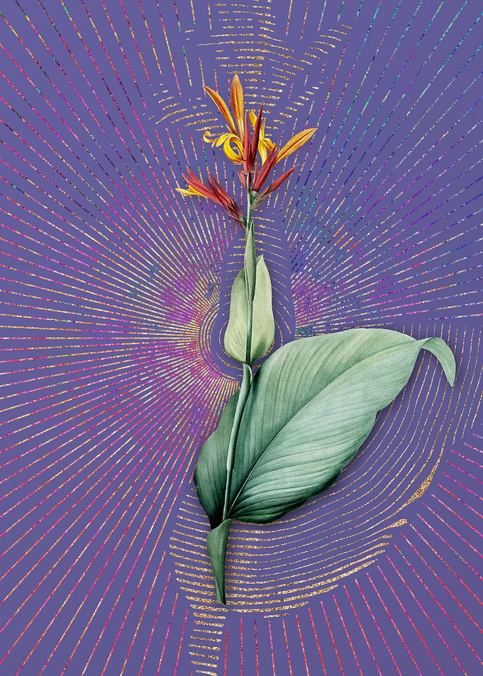 Vintage Indian Shot Purple
