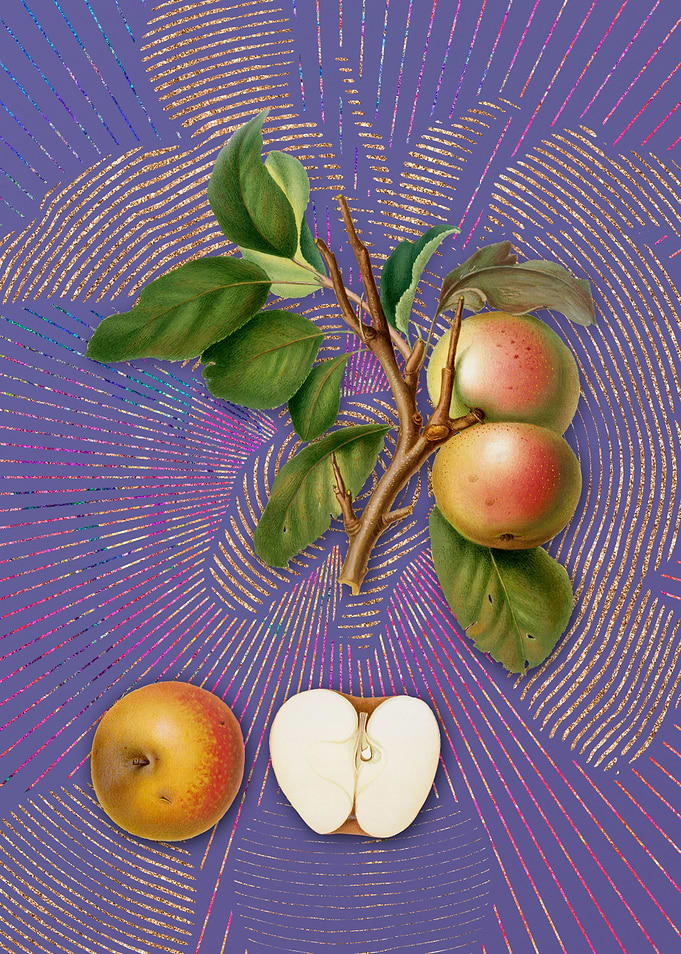Vintage Pupina Apple Art