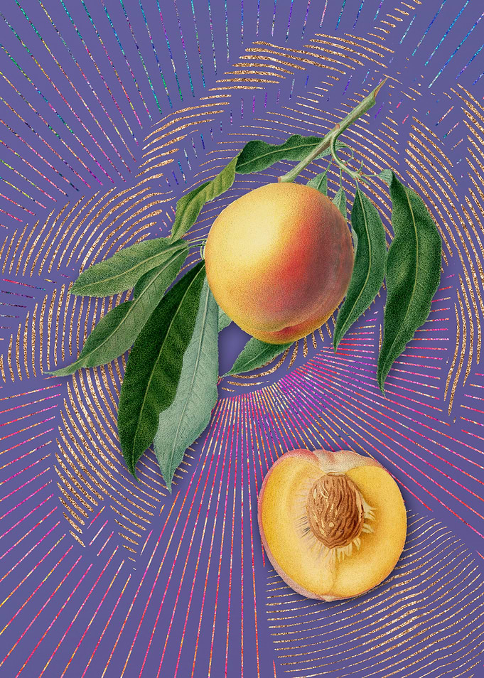 Vintage Peach 8 Fruit