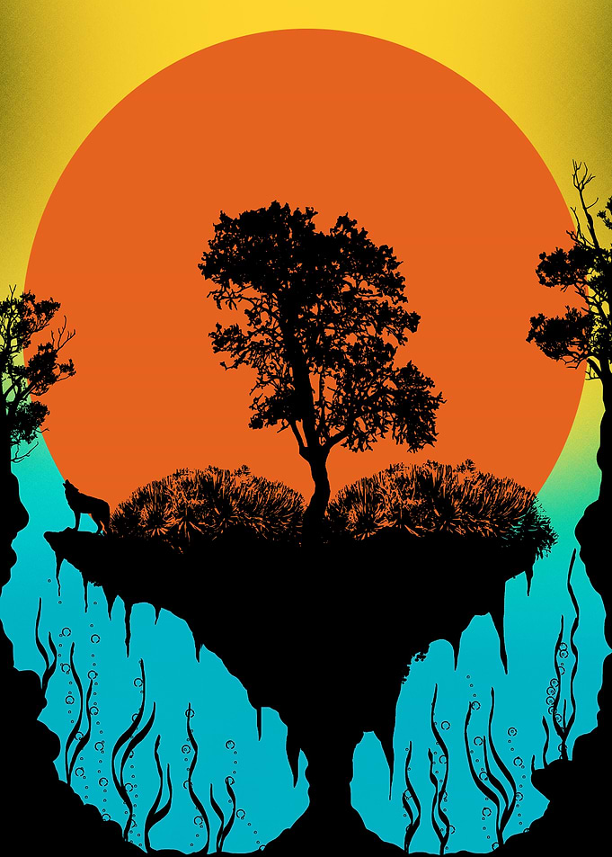 wild sun