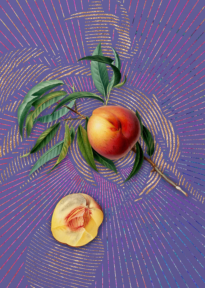 Vintage Peach 16 Flora