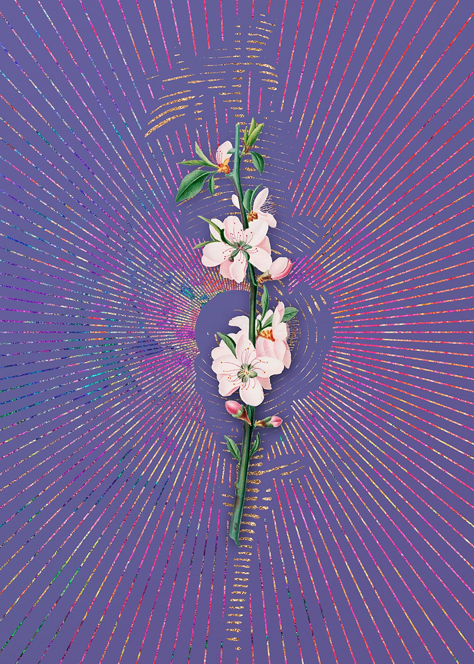 Vintage Peach Flower 2