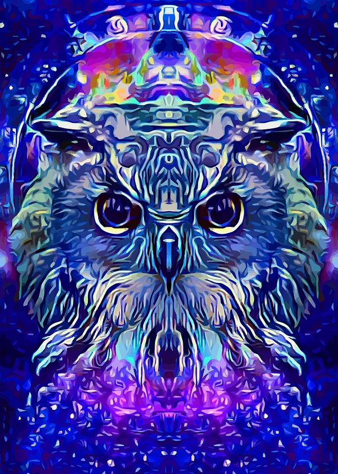 Owl Space Art