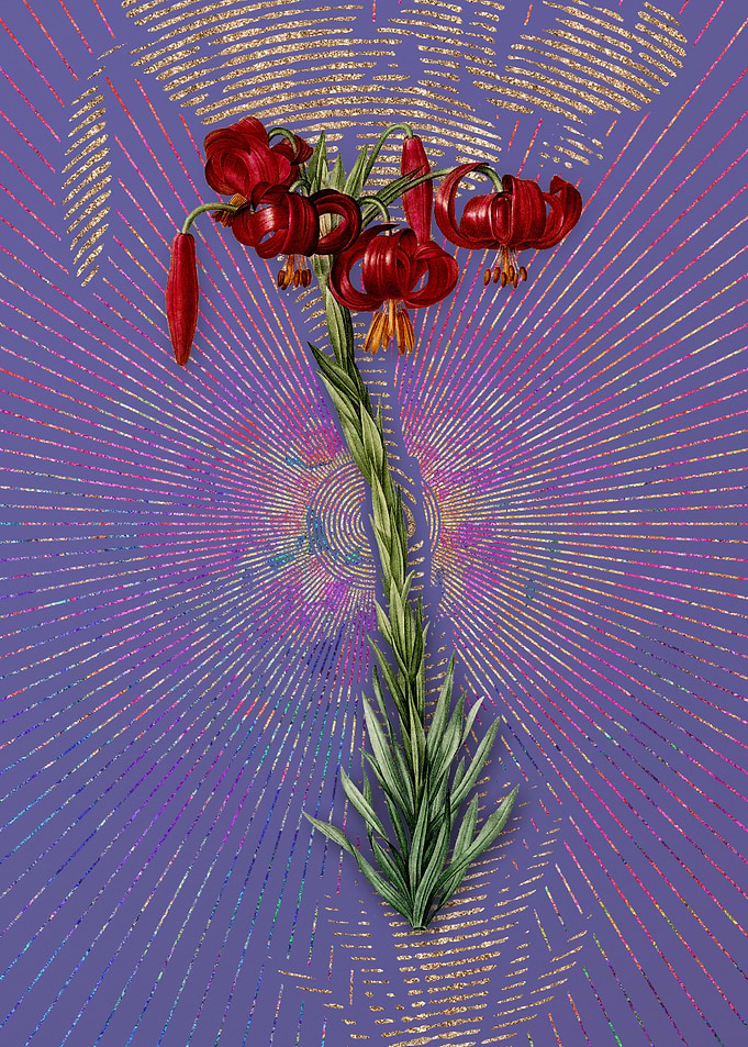 Vintage Lily on Purple