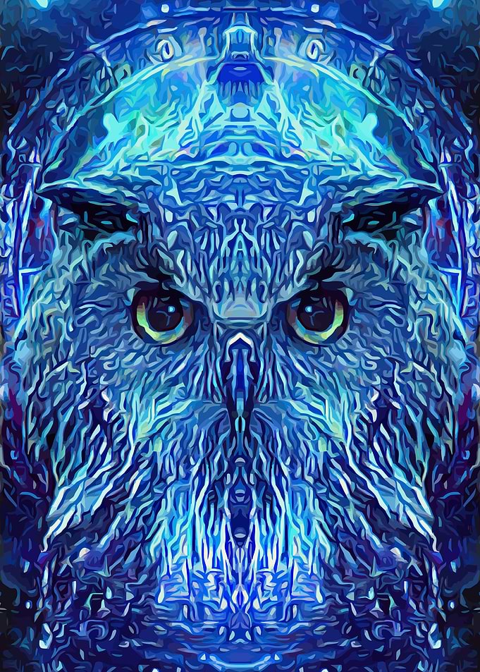 Owl Mysterious Space