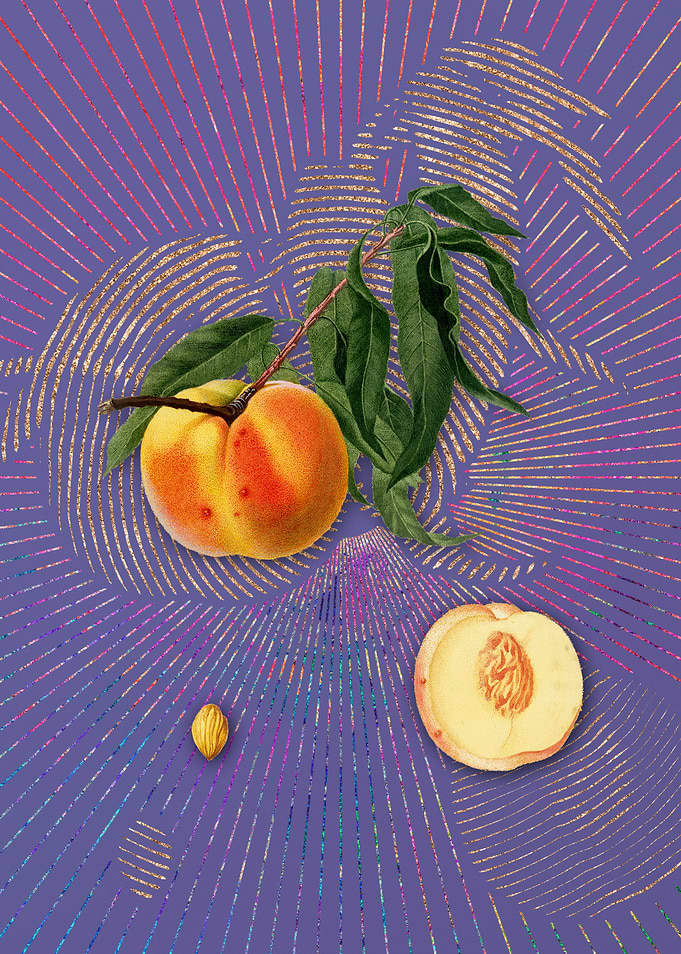 Vintage Peach 21 Fruit