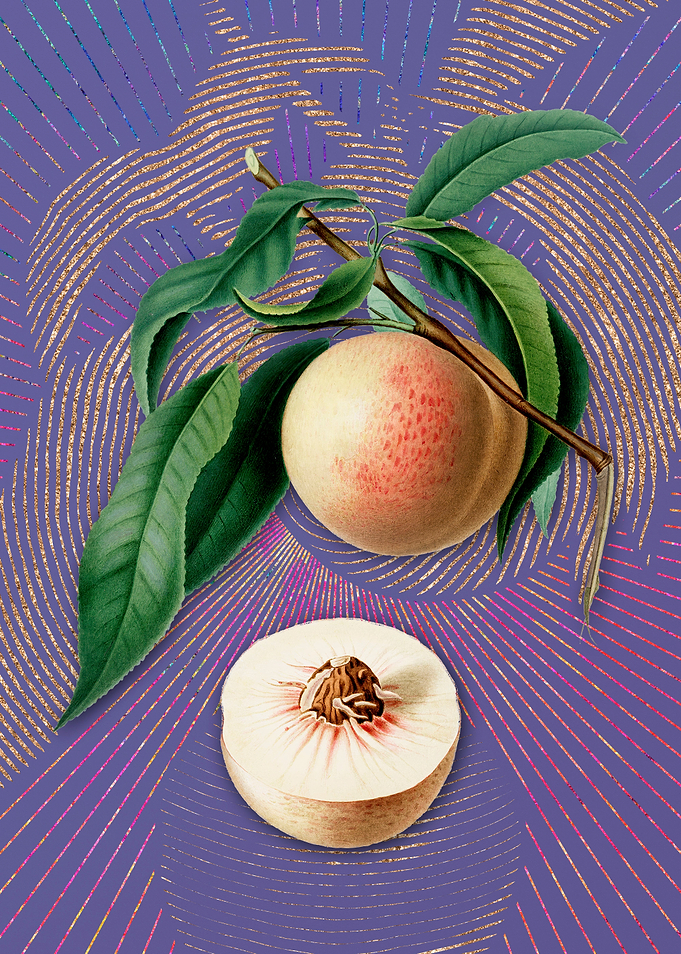 Vintage Peach 7 Violet