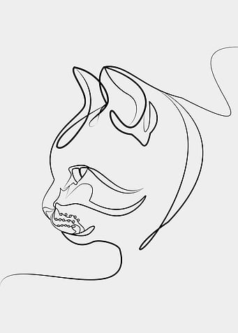 Line art Cat Animal