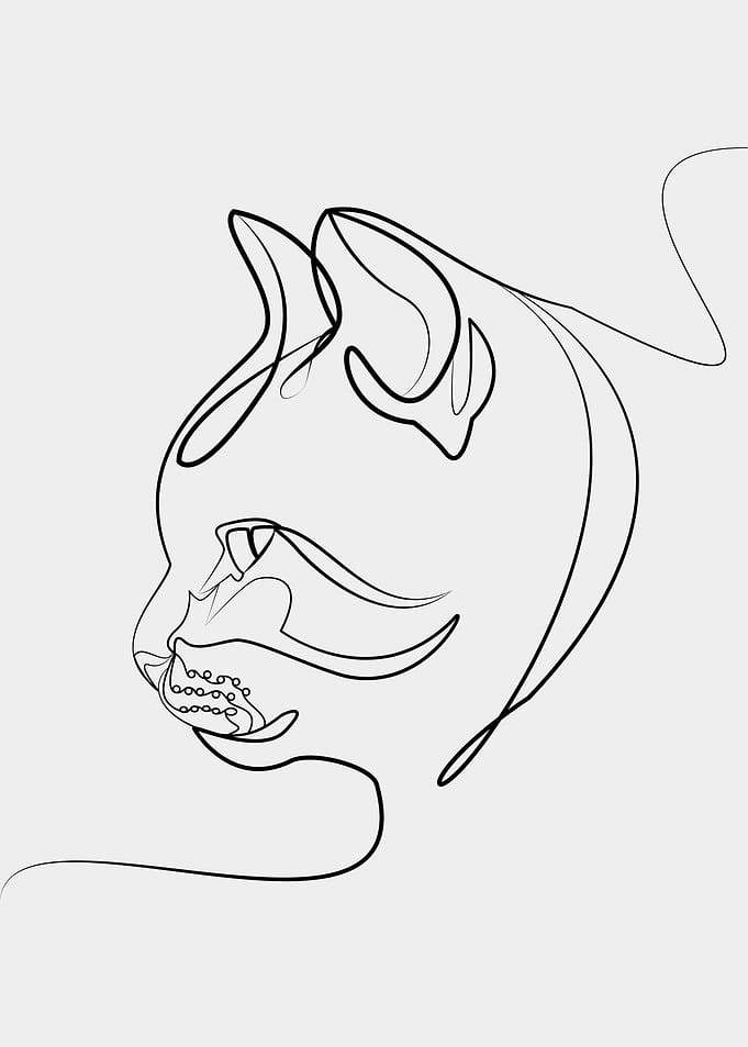 Line art Cat Animal