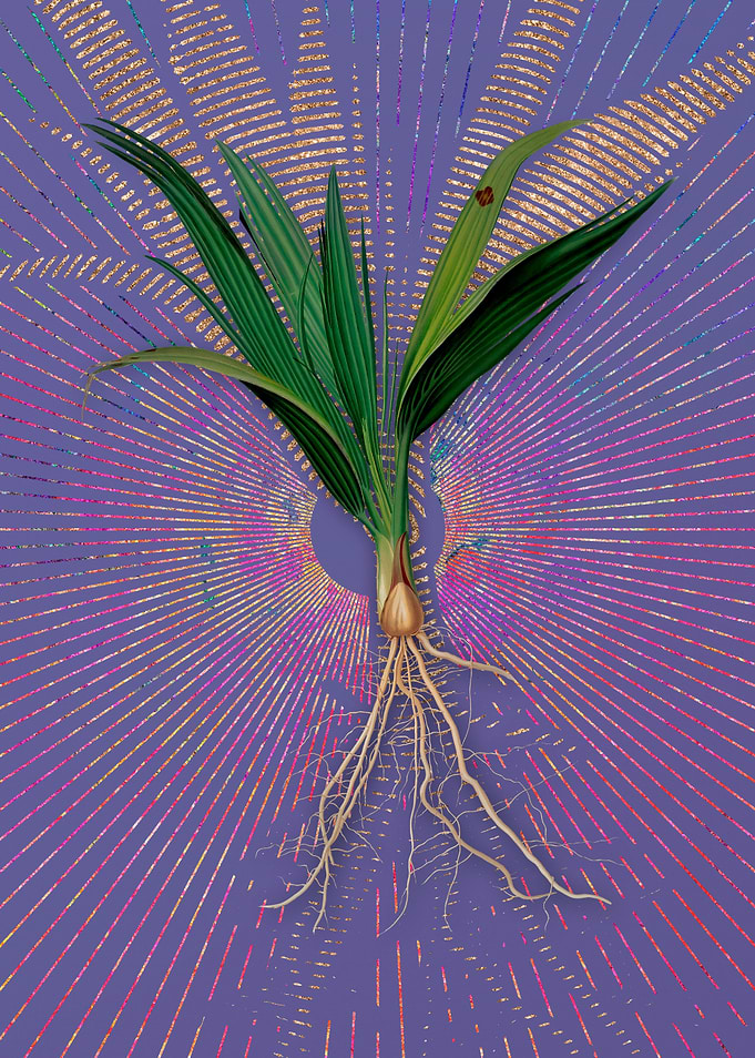 Vintage Date Palm Tree