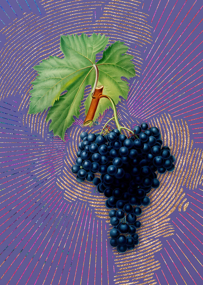 Vintage Fuella Grapes