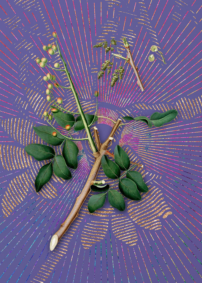 Vintage Pistachio 2 Purple