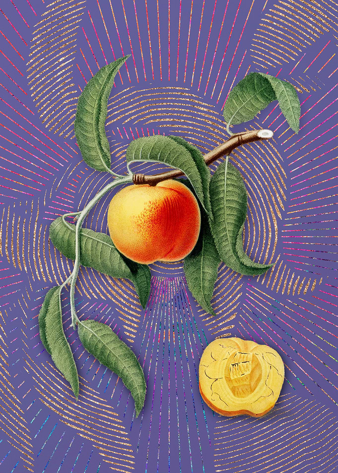 Vintage Peach 20 Fruit