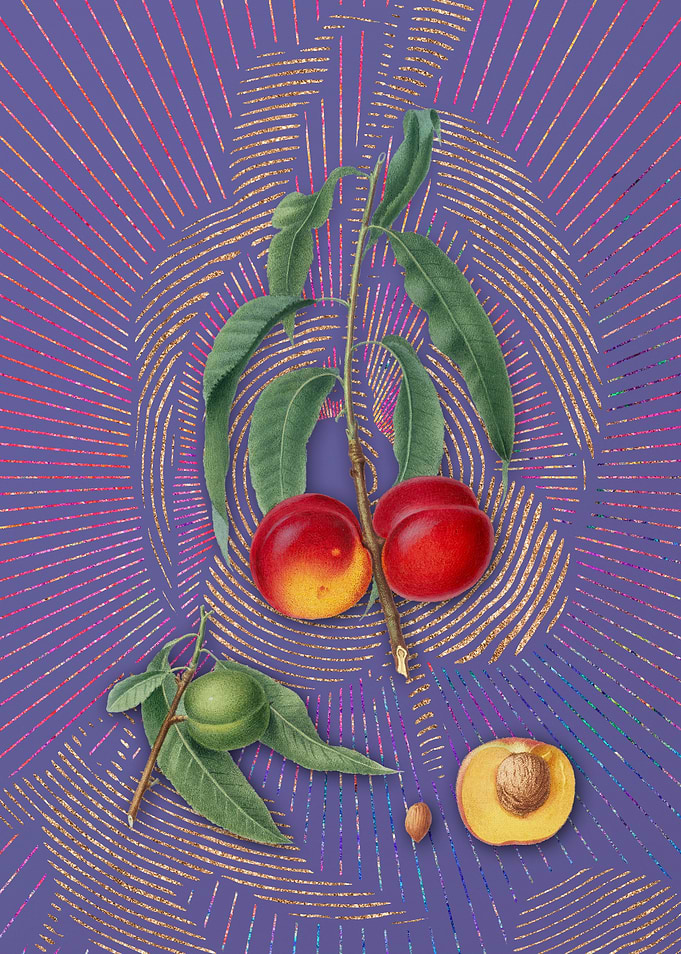Vintage Walnut Peach Art