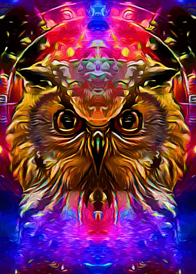 Owl Keeper of Universe