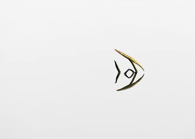 Remnant lotus