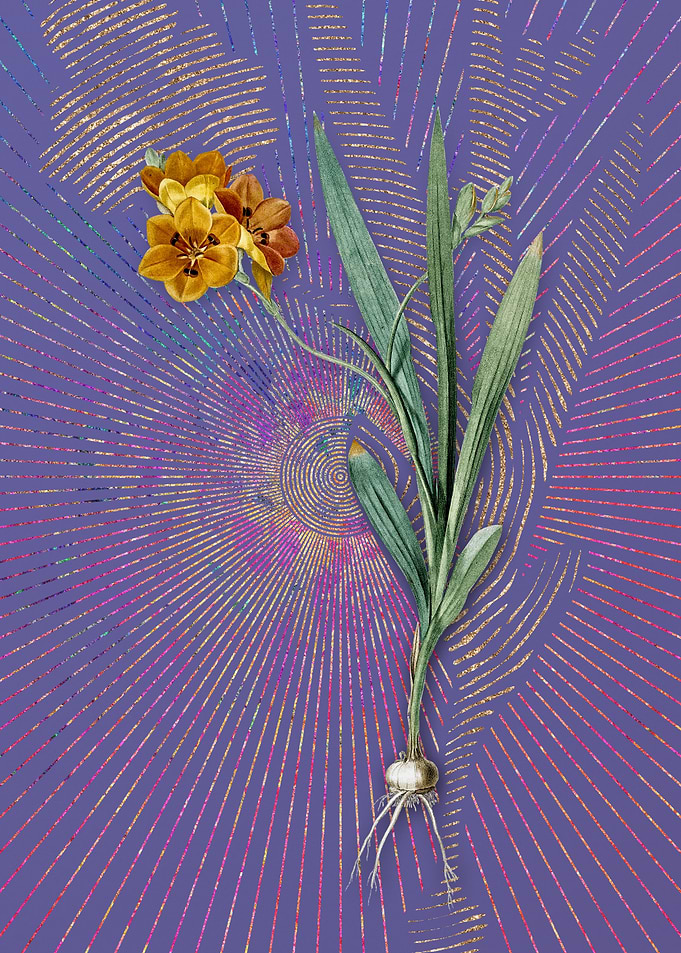 Vintage Ixia Miniata Art