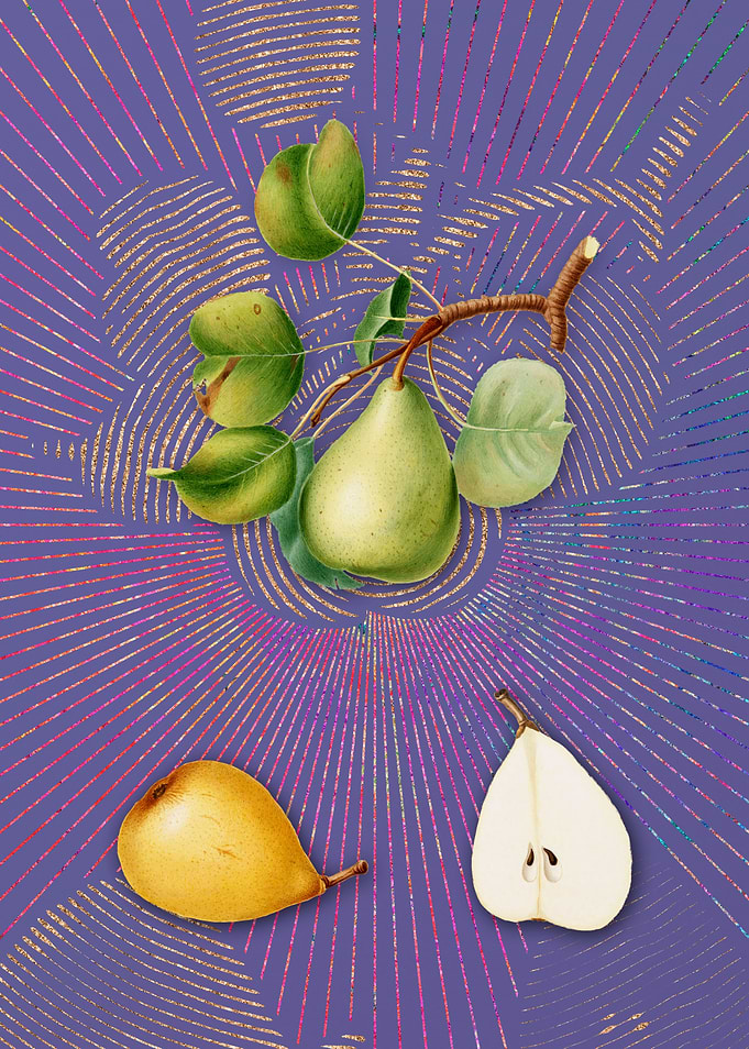 Vintage Pear 13 Violet