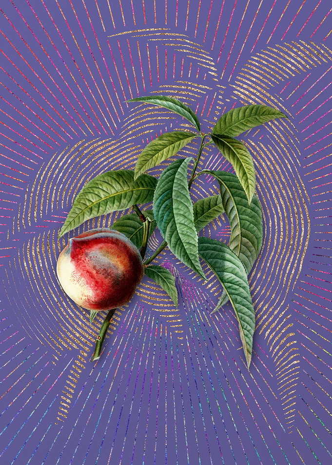 Vintage Peach 2 Fruit