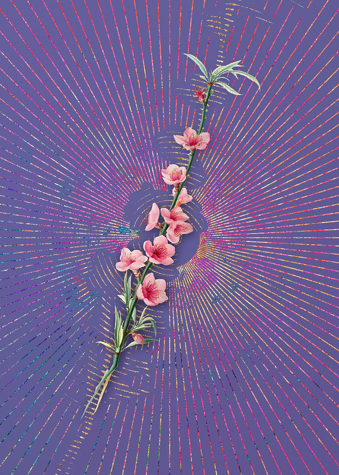 Vintage Peach Blossoms