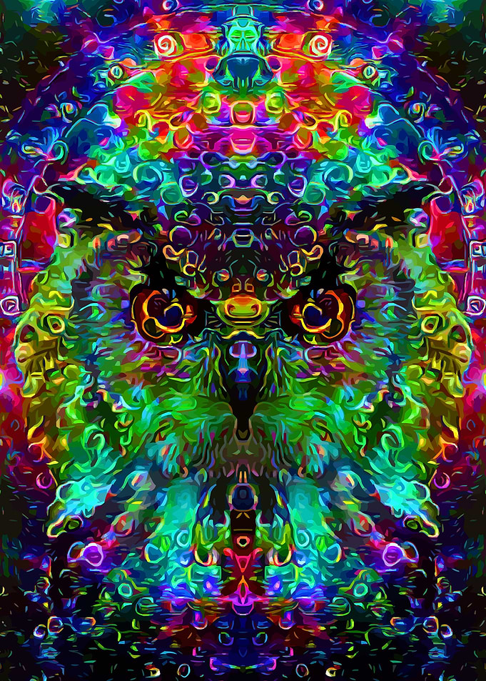 Owl Guardian of Galaxy