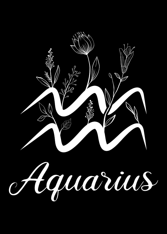 Cottagecore Aquarius Sign
