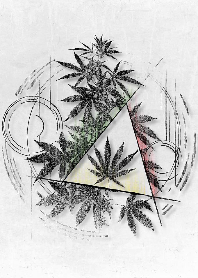 Witch Weed