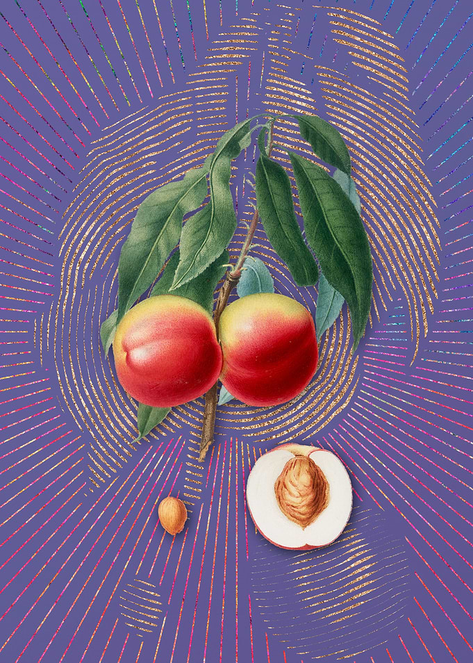 Vintage Peach 10 Flora