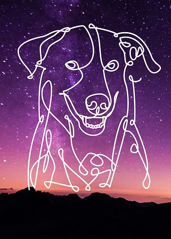Dog Line Art Galaxy Nebula