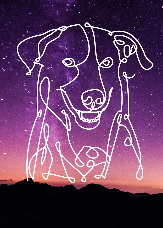 Dog Line Art Galaxy Nebula