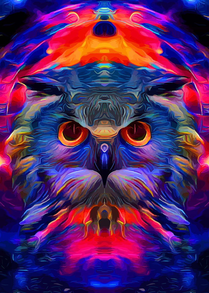 Owl Lord of Galaxy