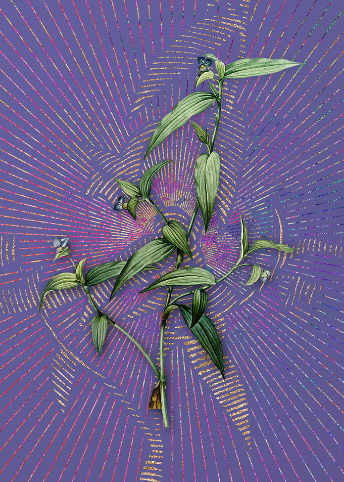 Vintage Tagblume Flora