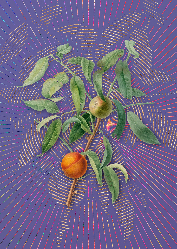 Vintage Peach 3 Fruit