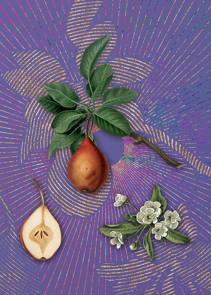 Vintage Pear 12 Fruit