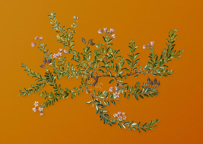 Vintage Alpine Azalea