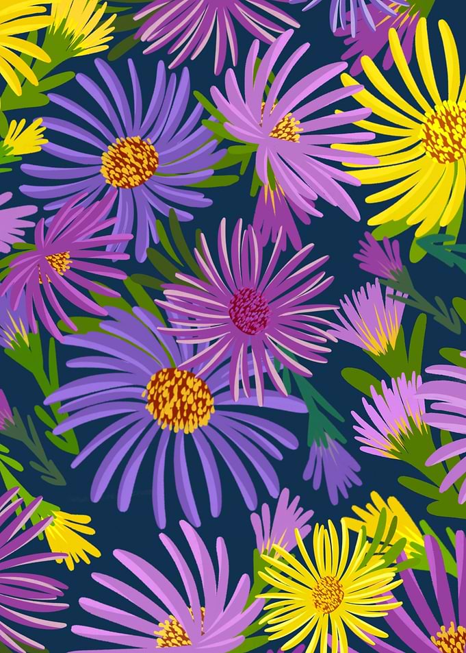 Colorful aster flowers