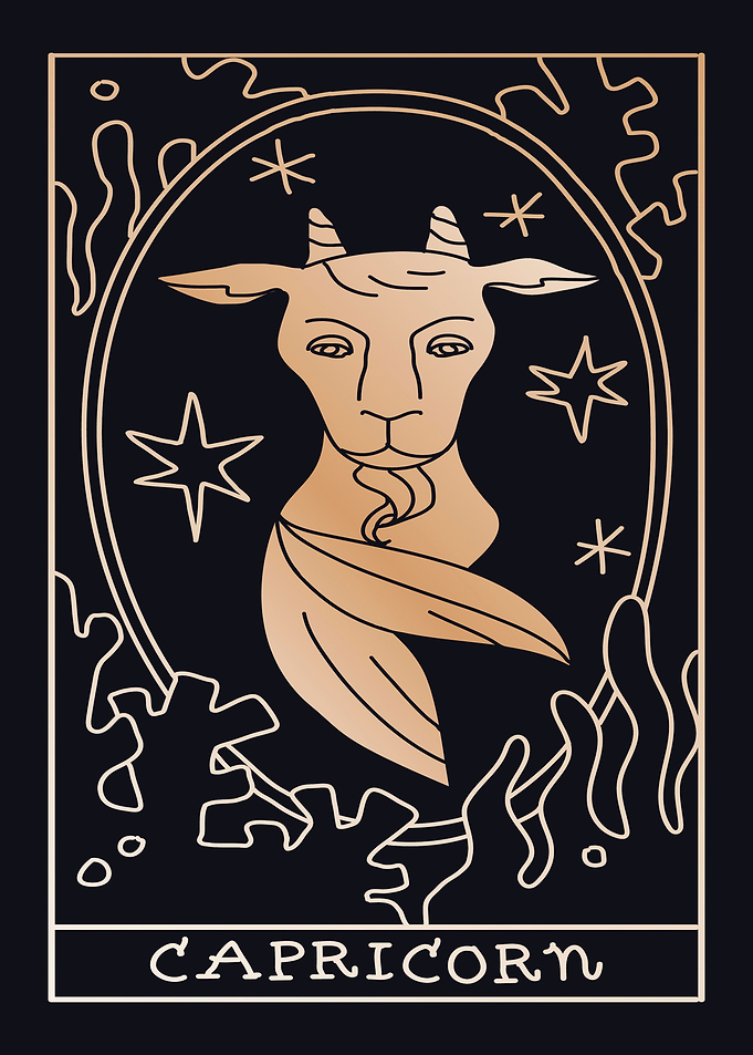 Capricorn Horoscope Zodiac