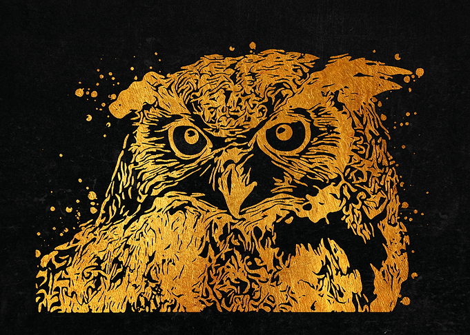 Owl Portrait