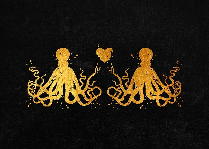 Octopus Love Sea