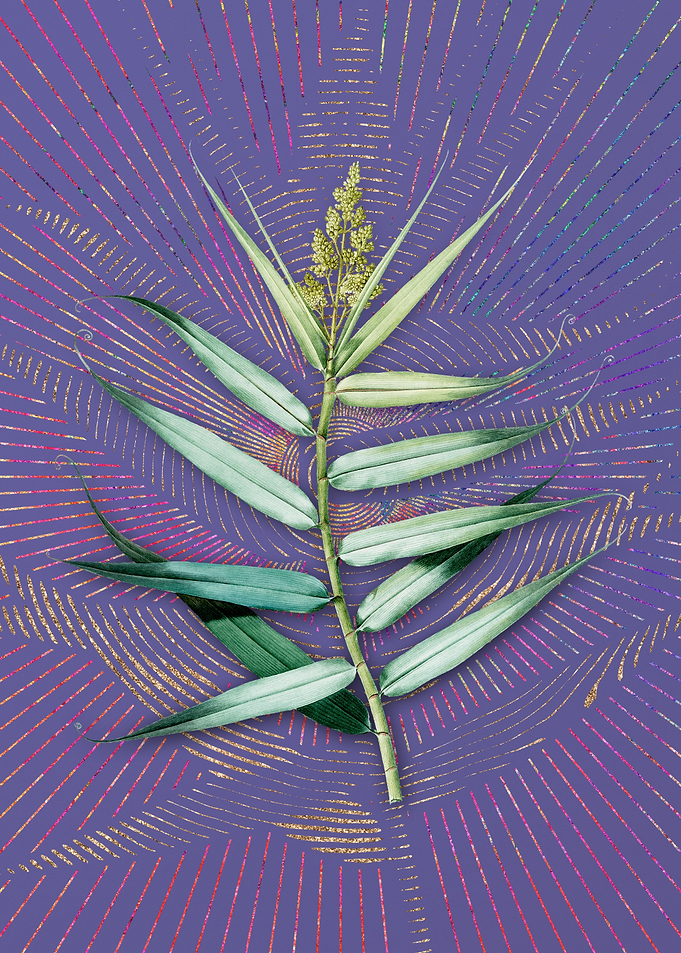 Violet Vintage Bush Cane